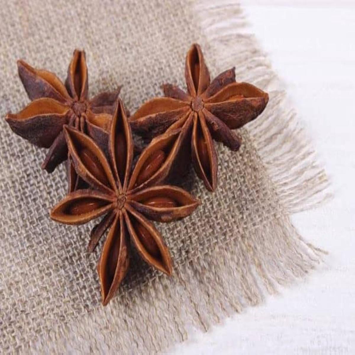 Anise Myrrhis Odorata Flower Seeds for Planting in Herb Garden and Garden