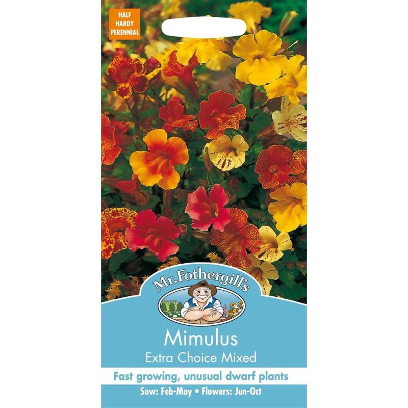 Mr Fothergills Mimulus Extra Choice Mixed Seeds