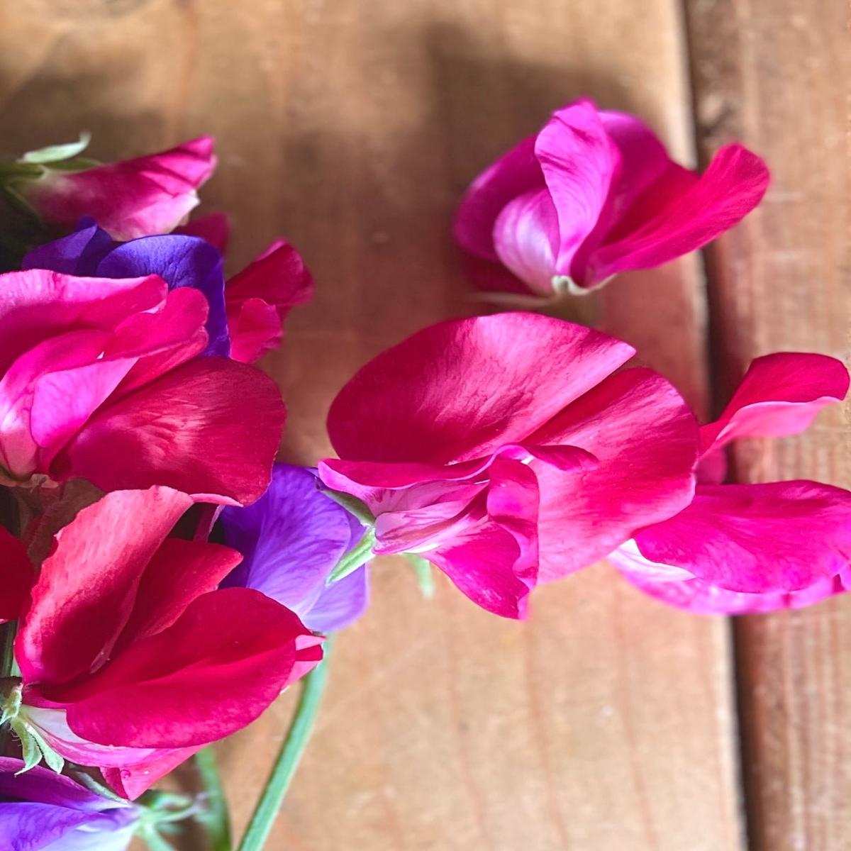 Sweet Pea Parfume Millennium