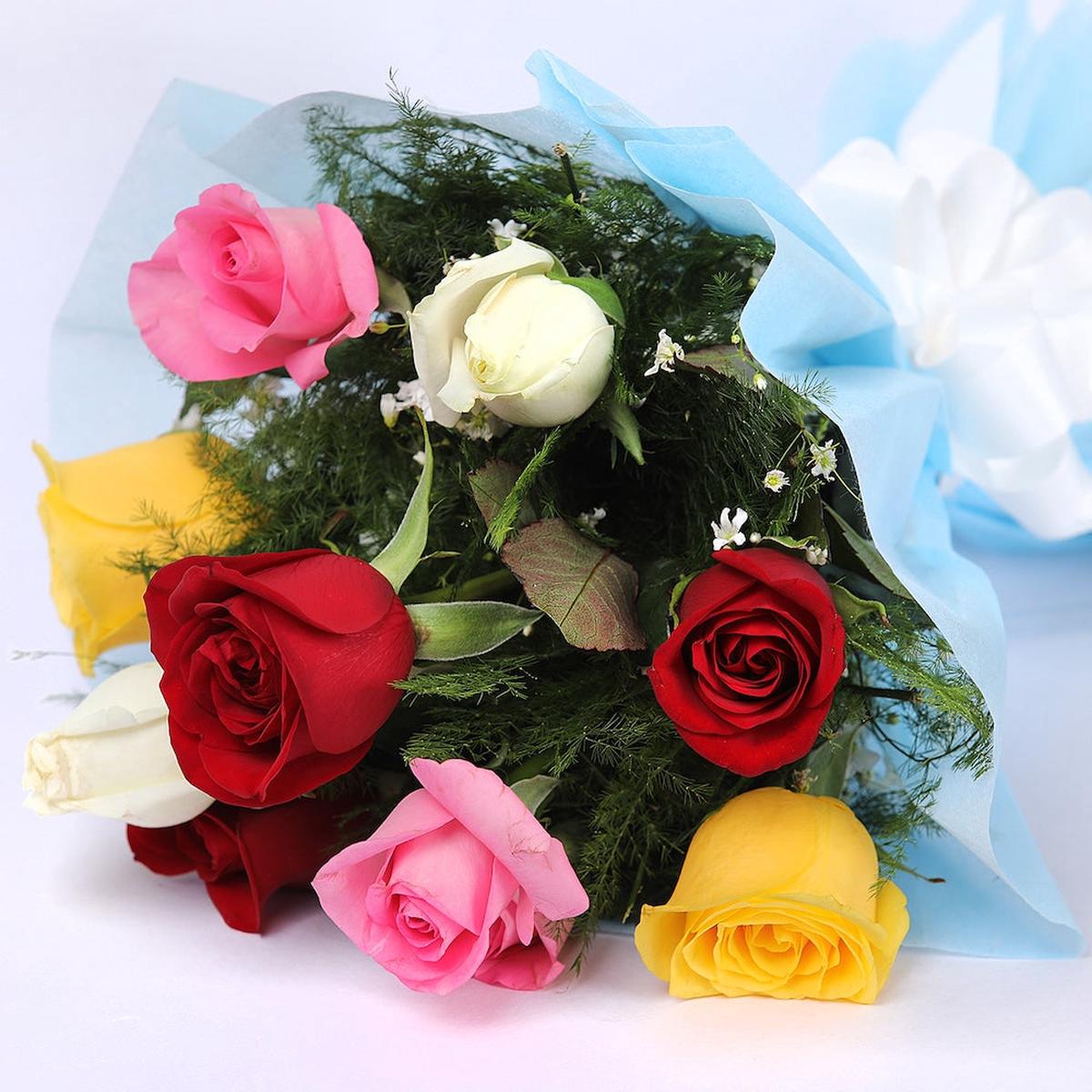 Mixed Home Garden Rose Flower Seeds for Planting Heirloom, Non-GMO, High Germination Organic Seeds