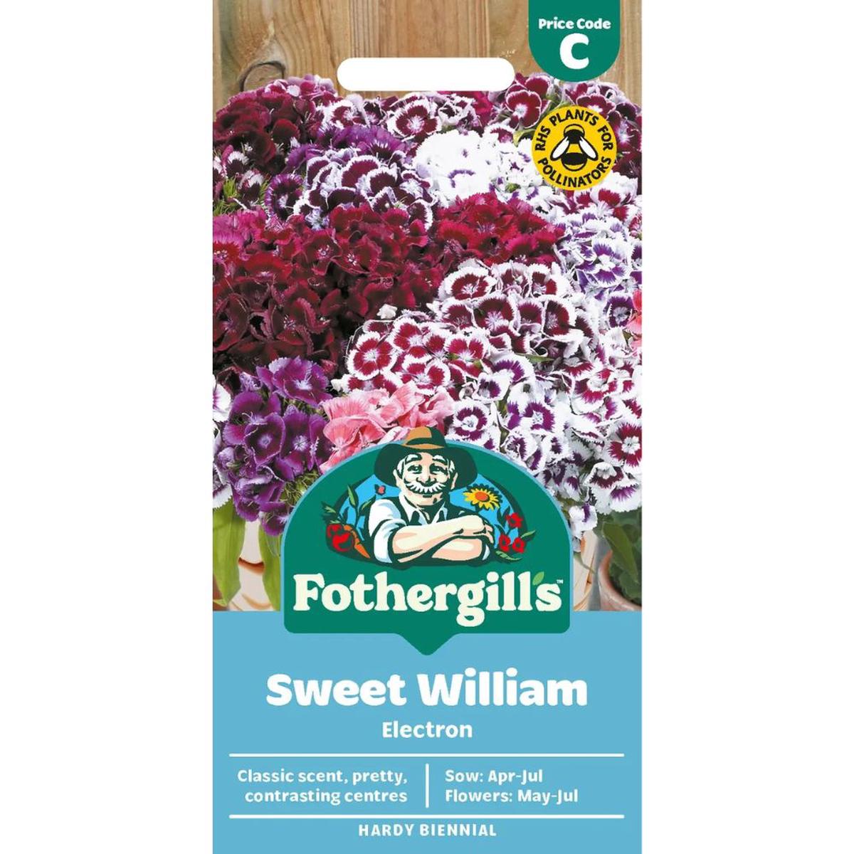 Mr Fothergill’s Sweet William Electron Seeds