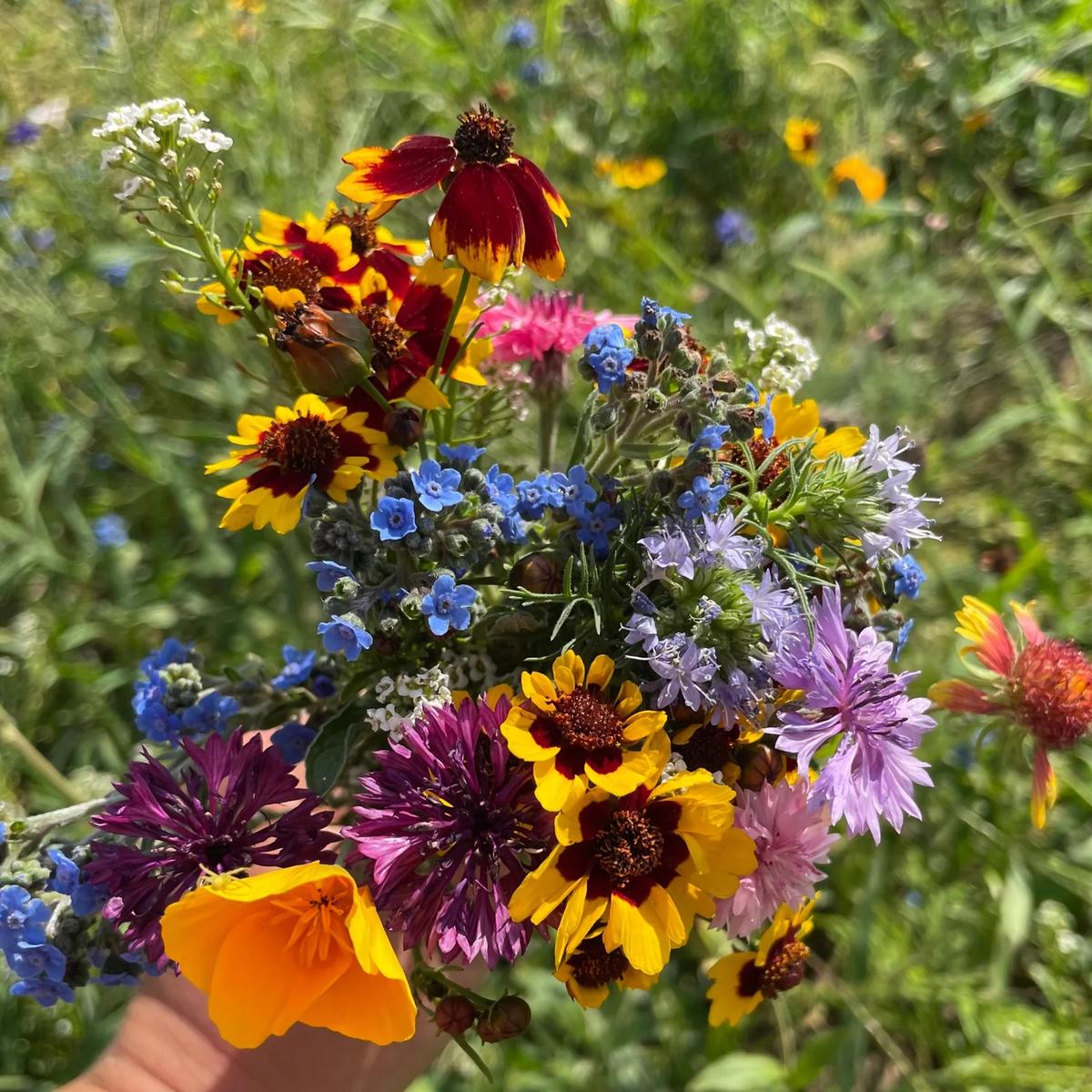 Revolutionary Seed Shaker with Varieties of Bulk Wildflowers Seeds  Heirloom, Non-GMO, High Germination Organic Garden Seeds