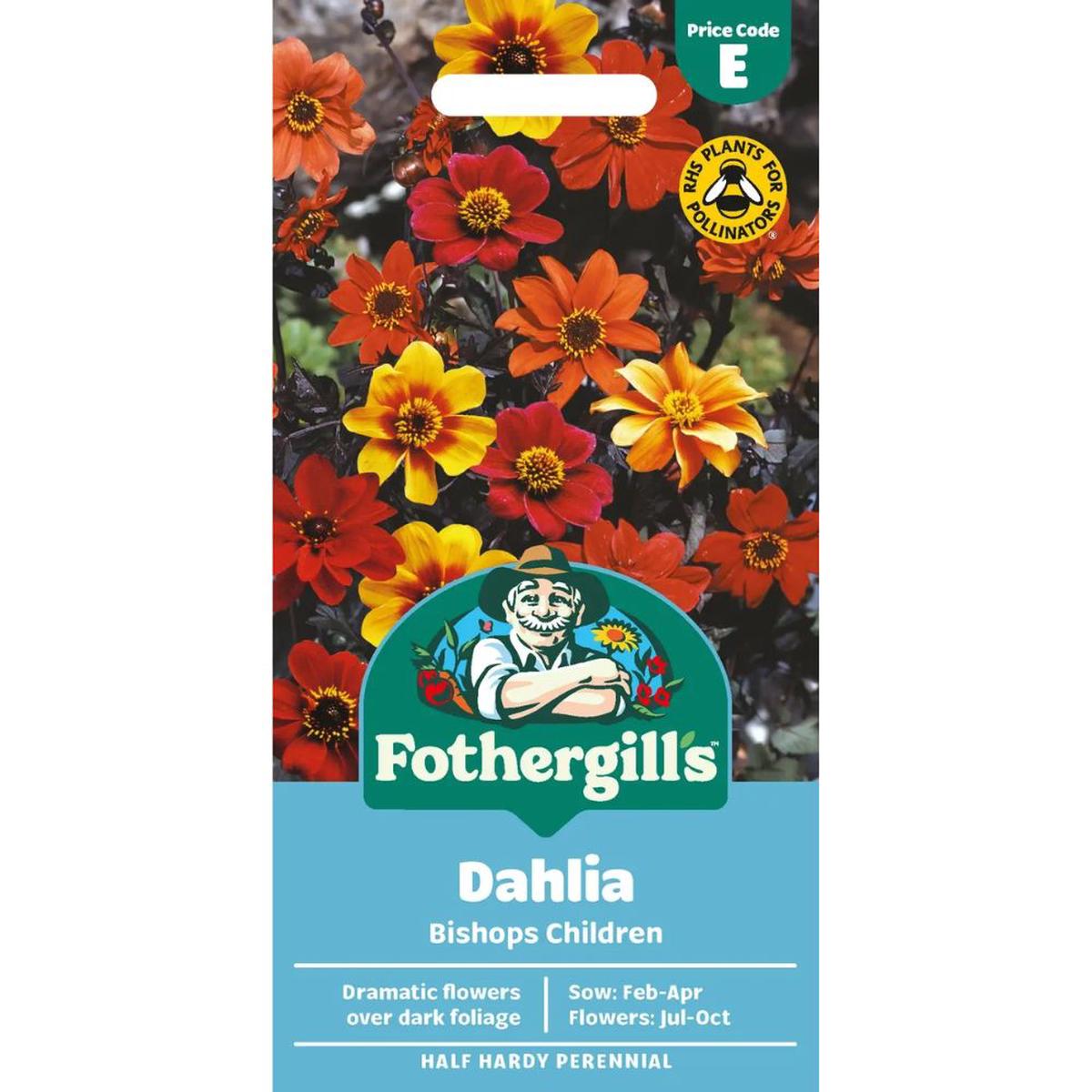 Mr Fothergill’s Dahlia Bishop’s Children Seeds