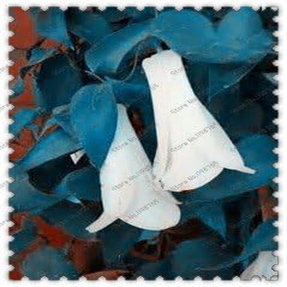 White Lapageria Flower seeds for Planting – Colorful Display, Heirloom & GMO Free Seeds for Home Garden