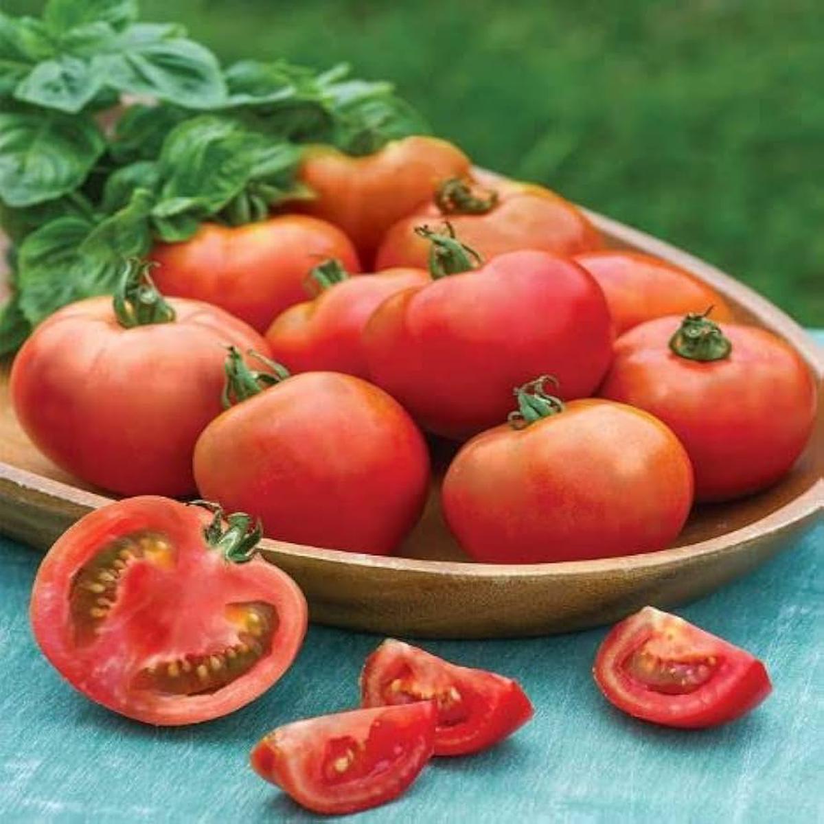Moonglow Tomato Solanum lycopersicum Vegetable Seeds for Planting in Vegetable Patch