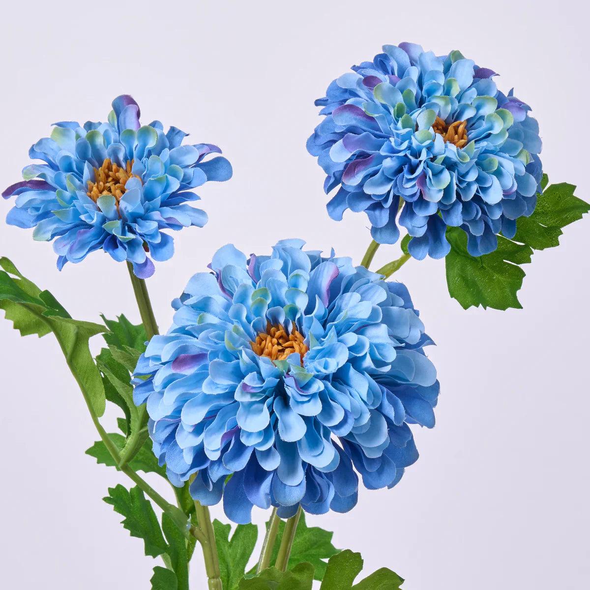 Sky Blue Zinnia Flower seeds for Planting Hardy Variety Heirloom & GMO Free Seeds for Home Garden