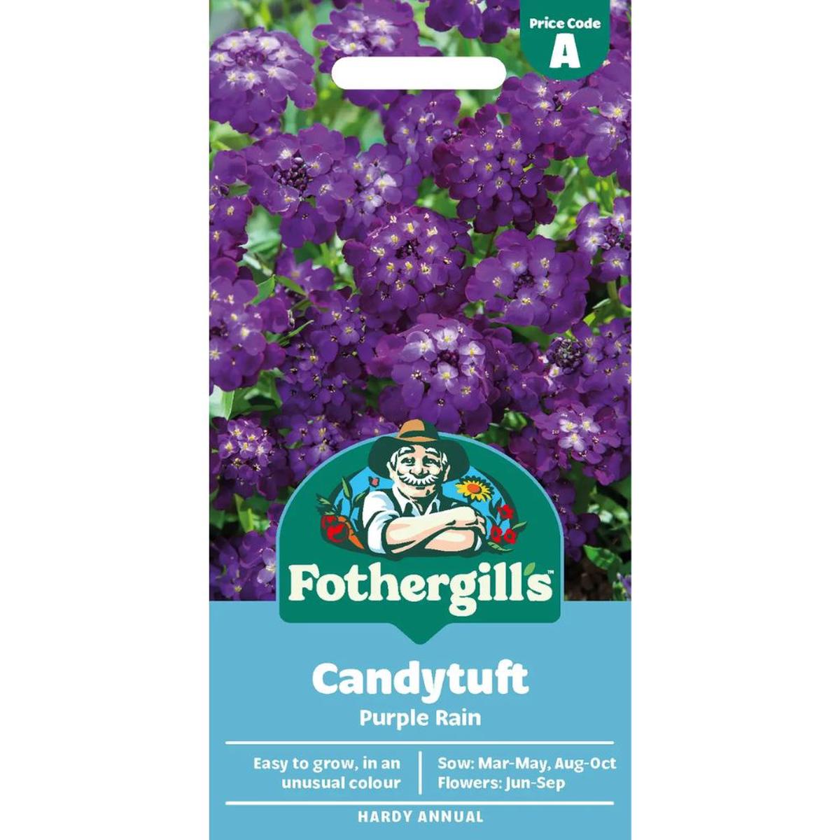 Mr Fothergill’s Candytuft Purple Rain Flower Seeds