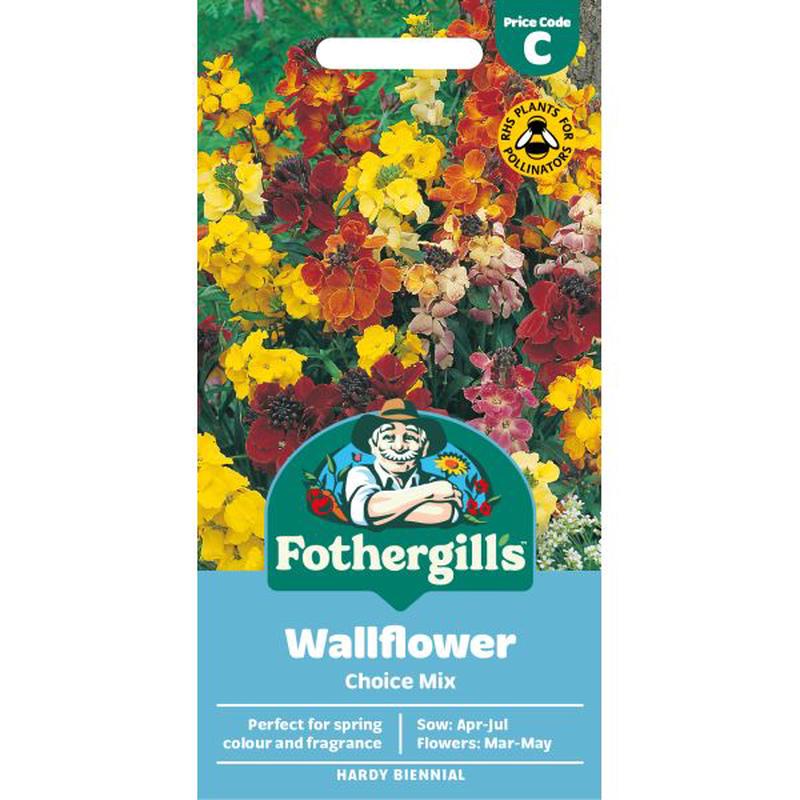 Wallflower Choice Mixed Seeds