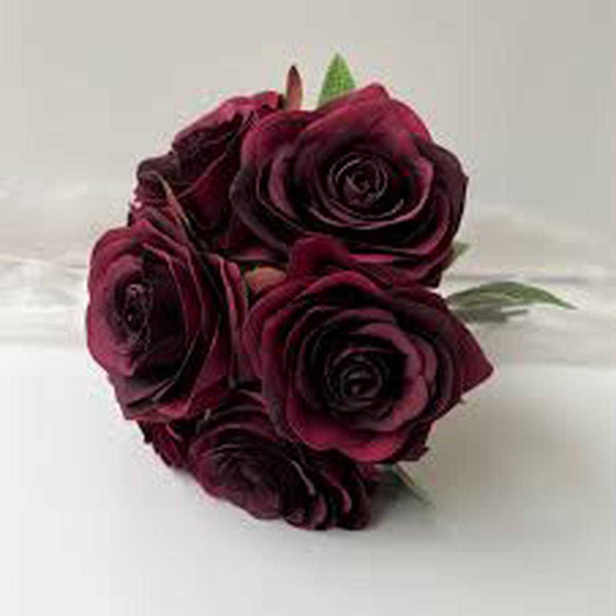 Burgundy Rose Flower Seeds for Planting  Heirloom, Non-GMO, Organic Garden Seeds, High Germination, Wildflower Mix