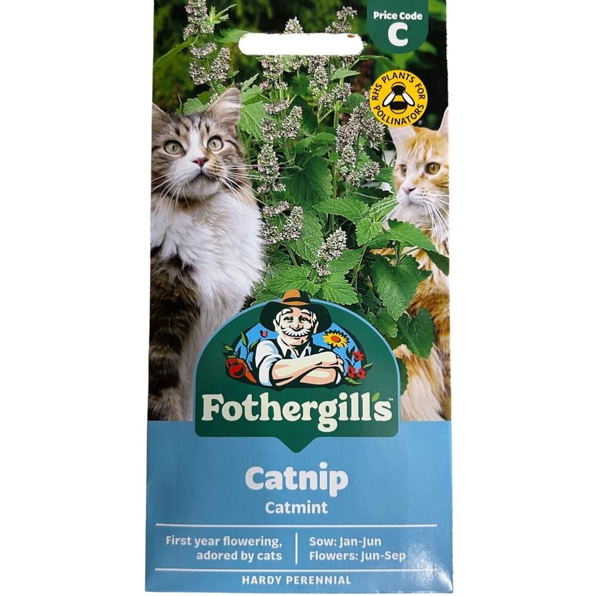 Mr Fothergill’s Nepeta Catnip Seeds