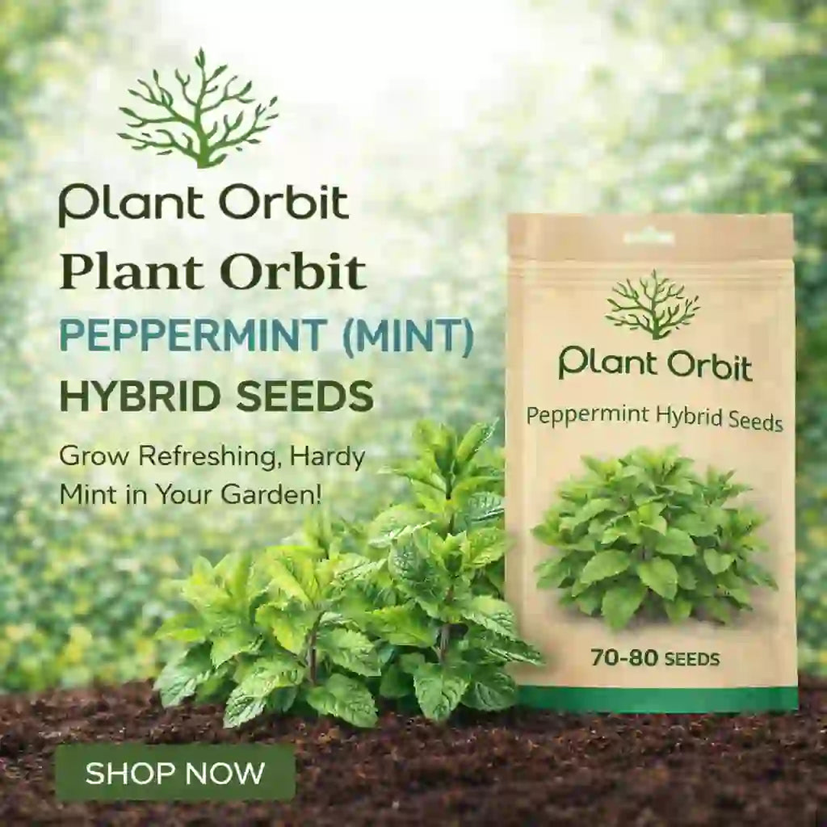 PEPPERMINT ( MINT) HYBRID SEEDS (70-80 seeds)