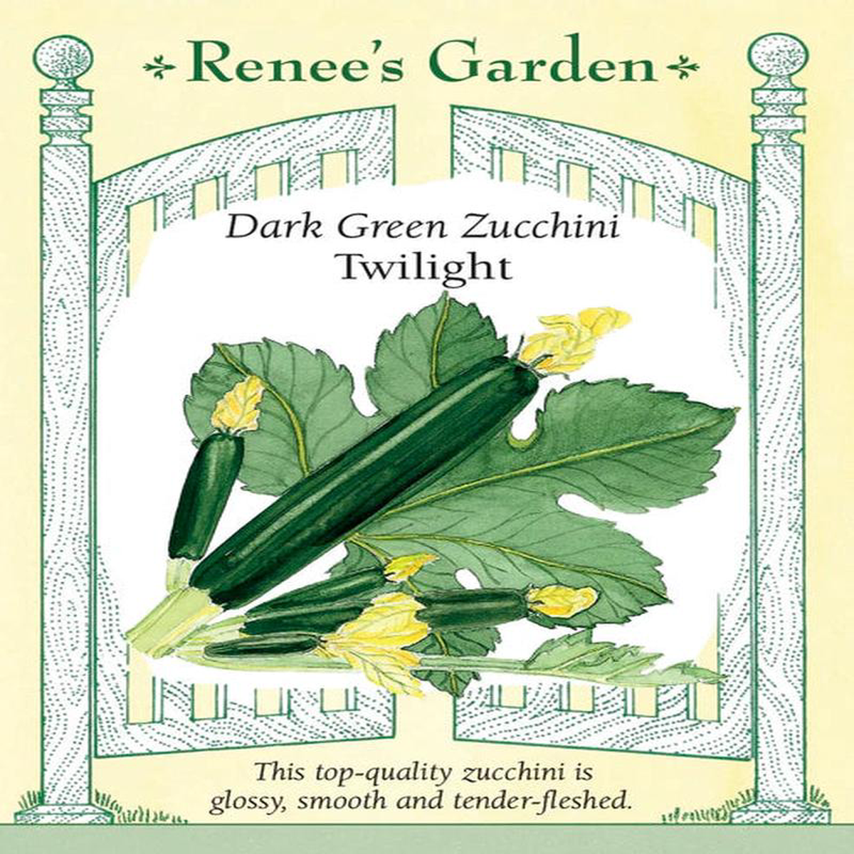 Zucchini Raven Twilight 8211 Renee8217s Garden