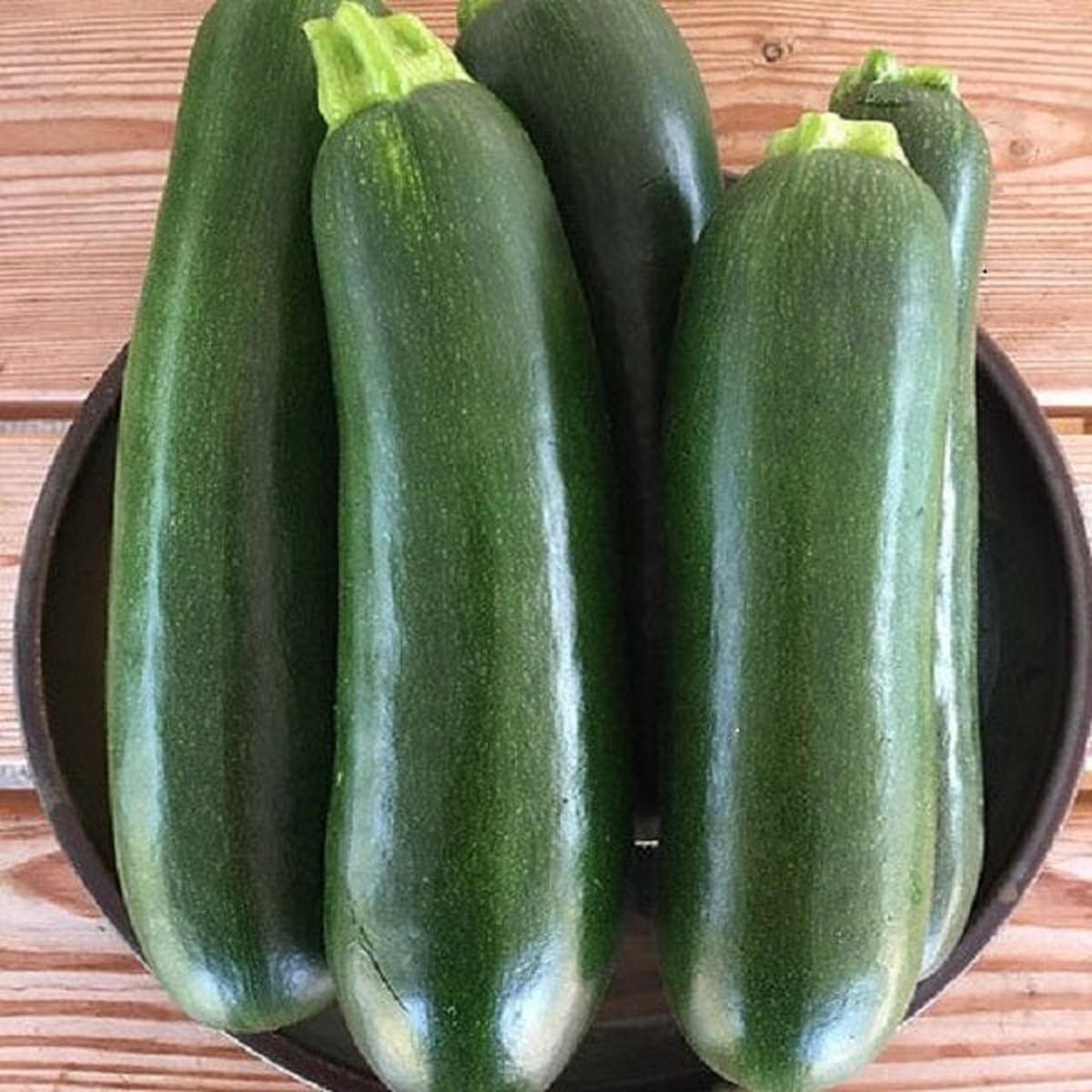 Zucchini Dark Star - Saanich Organics