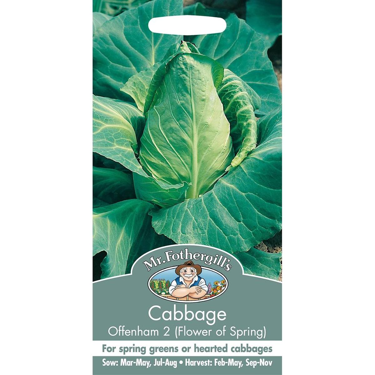 Cabbage Offenham 2 (Flower Of Spring)