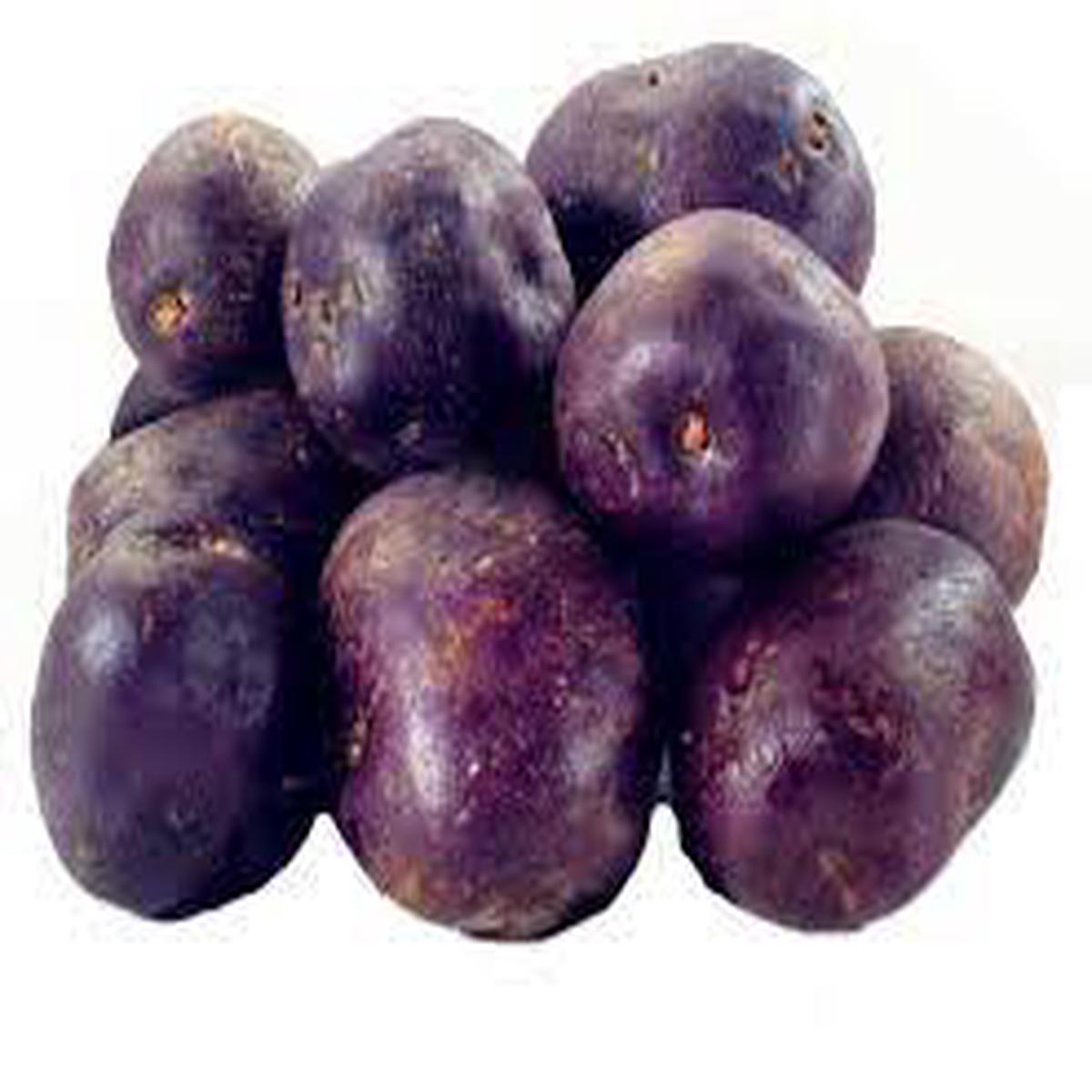 Purple Potato Seeds for Planting Heirloom, Non-GMO, High Germination Organic Tuber Seeds