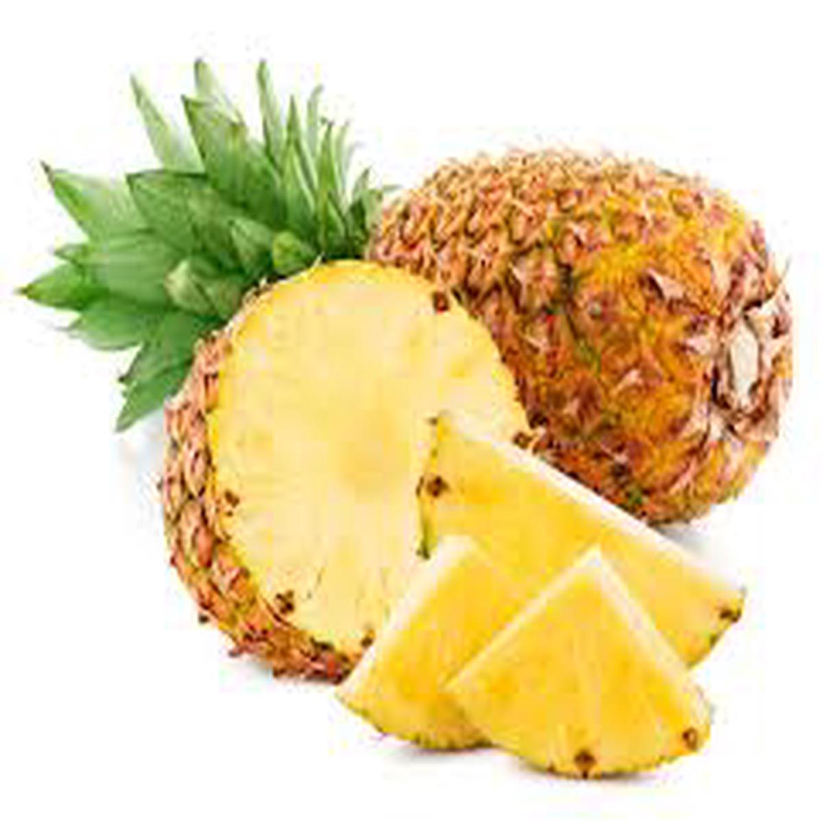Golden Sweet Pineapple Fruit Seeds for Planting  Heirloom & GMO Free Seeds for Home Garden