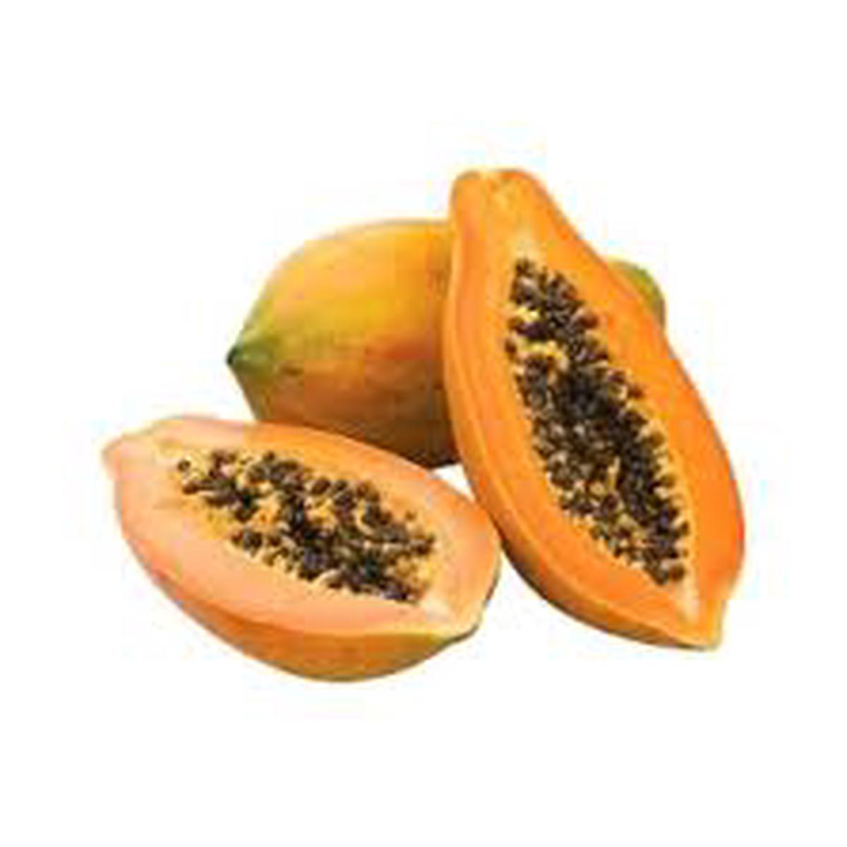 Orange Papaya Fruit Seeds for Planting Grow Fresh, Tropical Papayas in Your Backyard Garden, Heirloom & Non-GMO