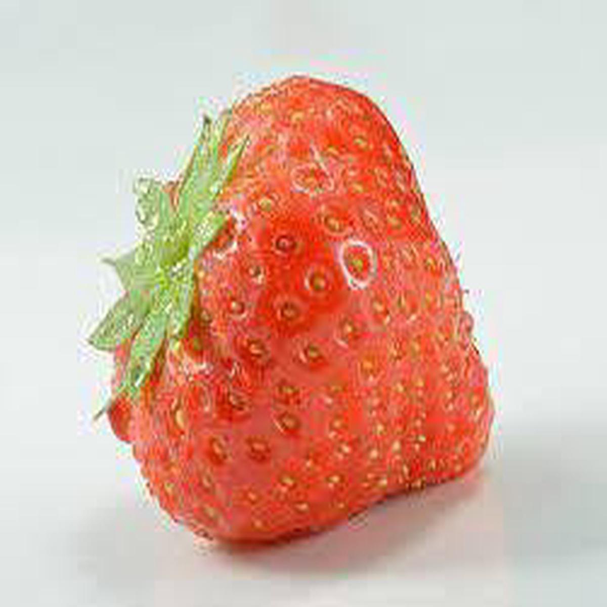 Orange Strawberry Fruit Seeds for Planting Grow Sweet, Juicy Strawberries, Heirloom & Non-GMO Seeds for Home Garden