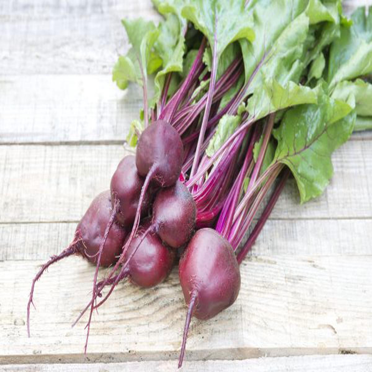 Beta vulgaris subsp. vulgaris Kornett