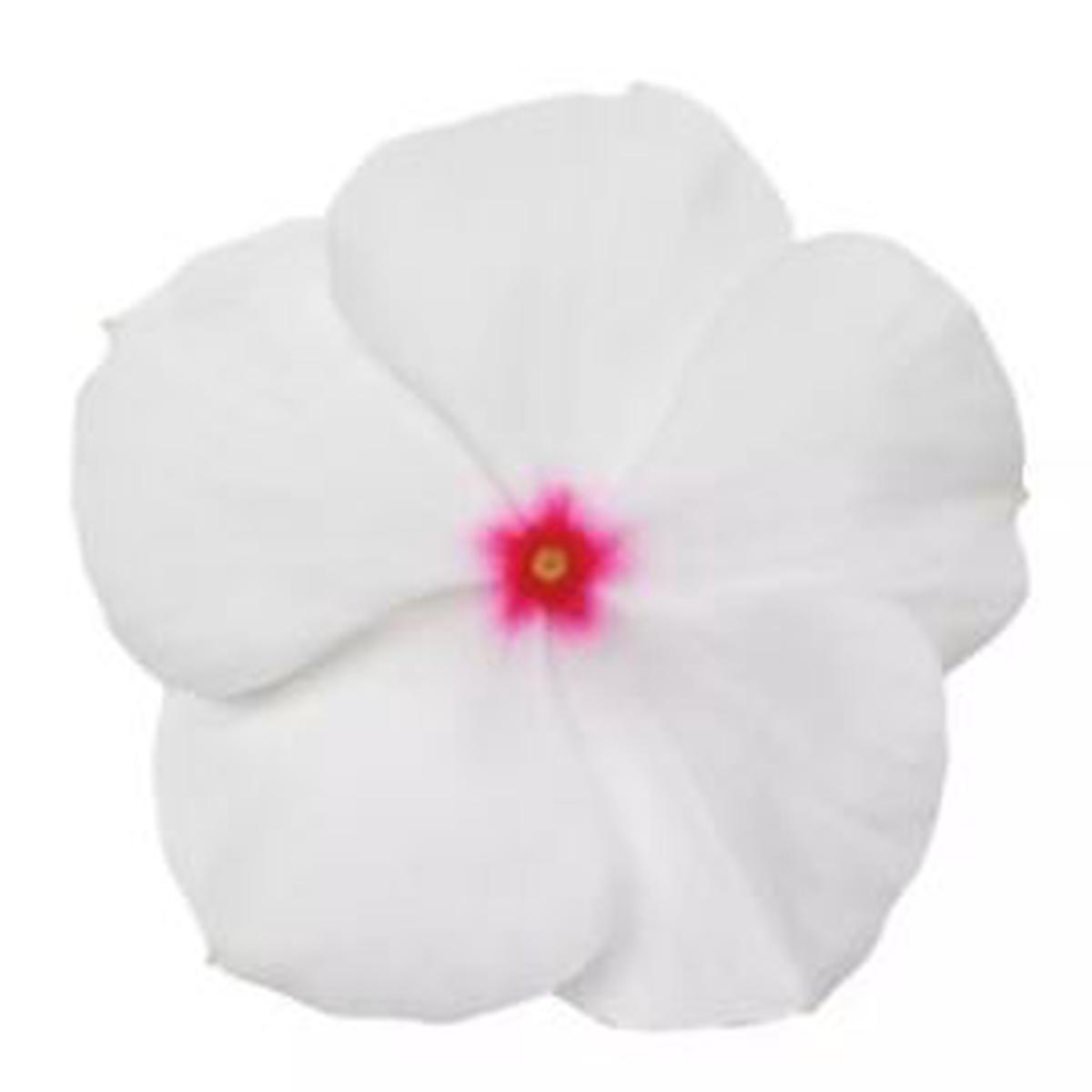Vinca (catharanthus) roseus Titan Polka Dot
