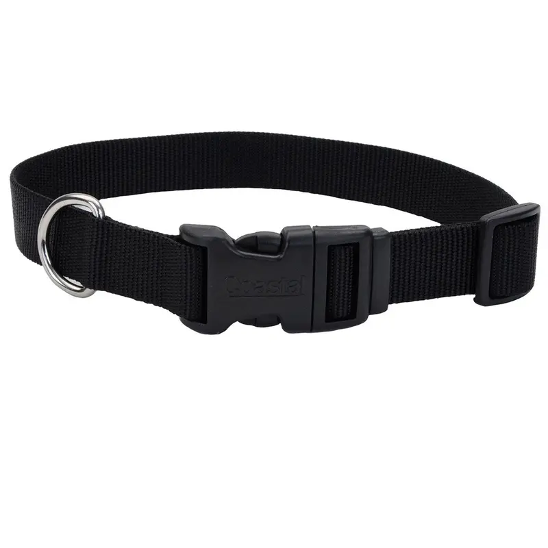 10 - 14" Adjustable Dog Collar w/Plastic Buckle, Black