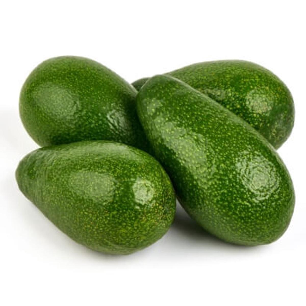 Zutano Avocado Fruit Seeds for Planting  Heirloom, Non-GMO, High Germination Organic Garden Seeds for Growing Avocados in Cooler Climates