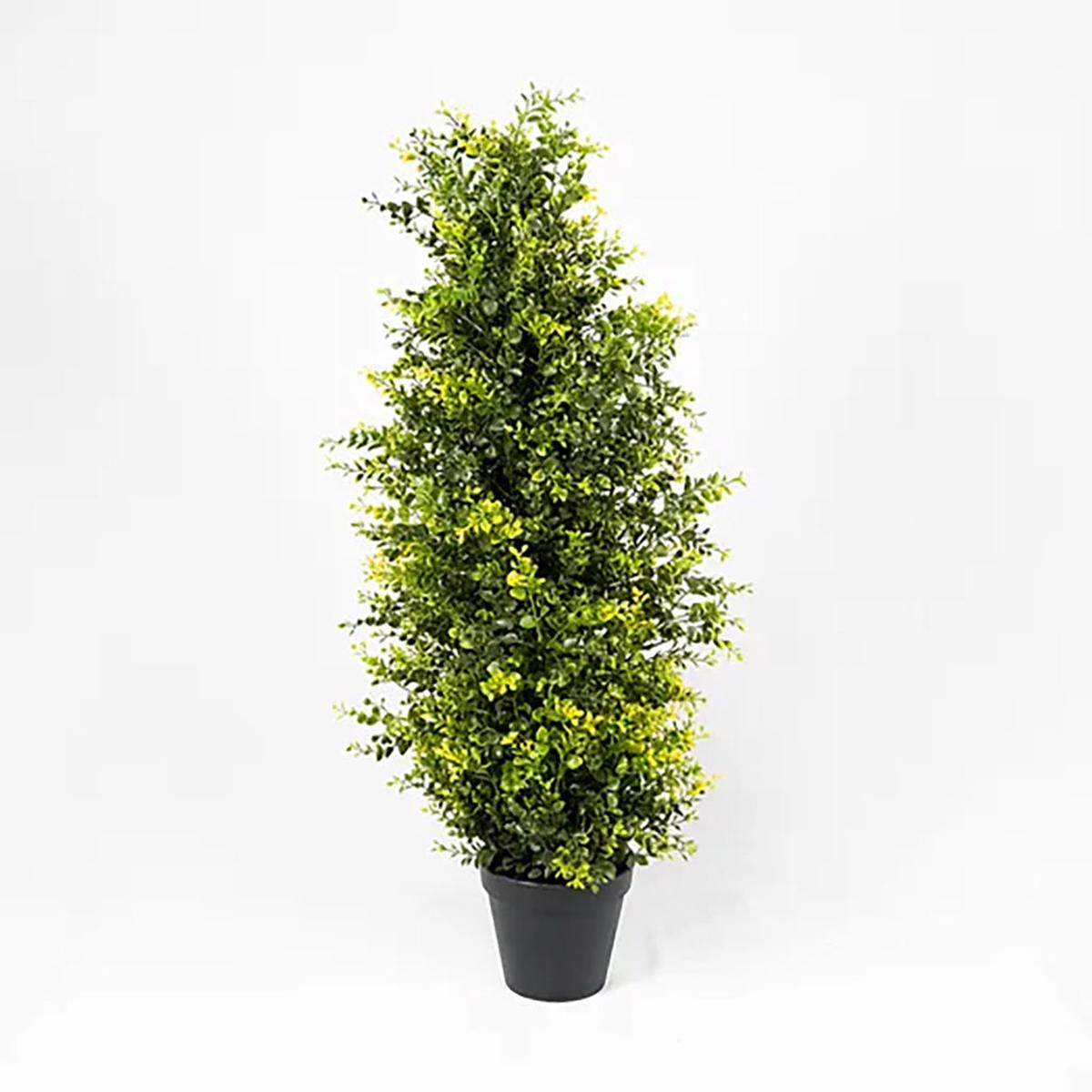 Boxwood Tree 3Ft Everlasting