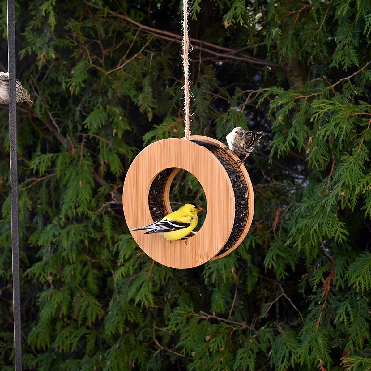 Bamboo Loop Feeder