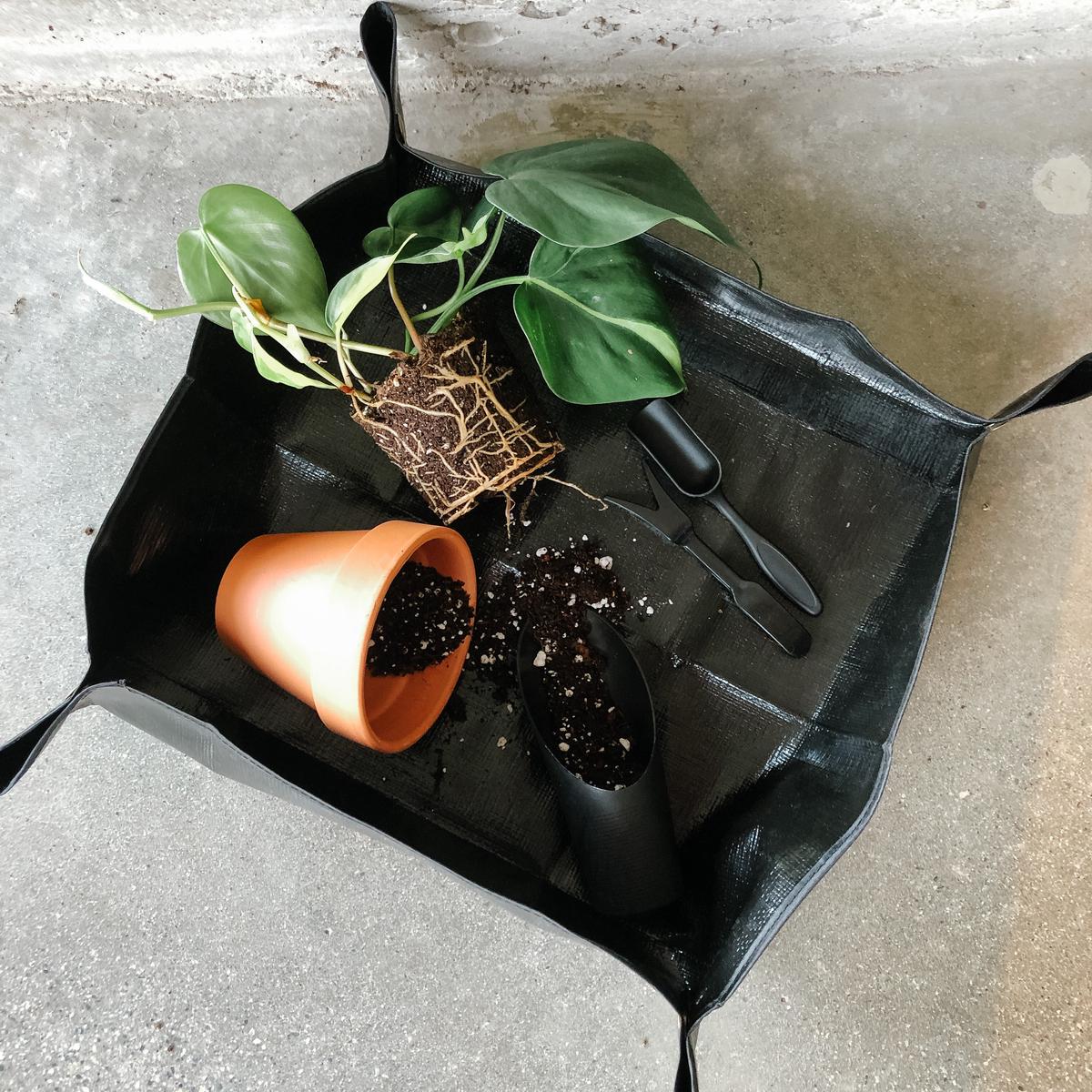 Repotting Tarp