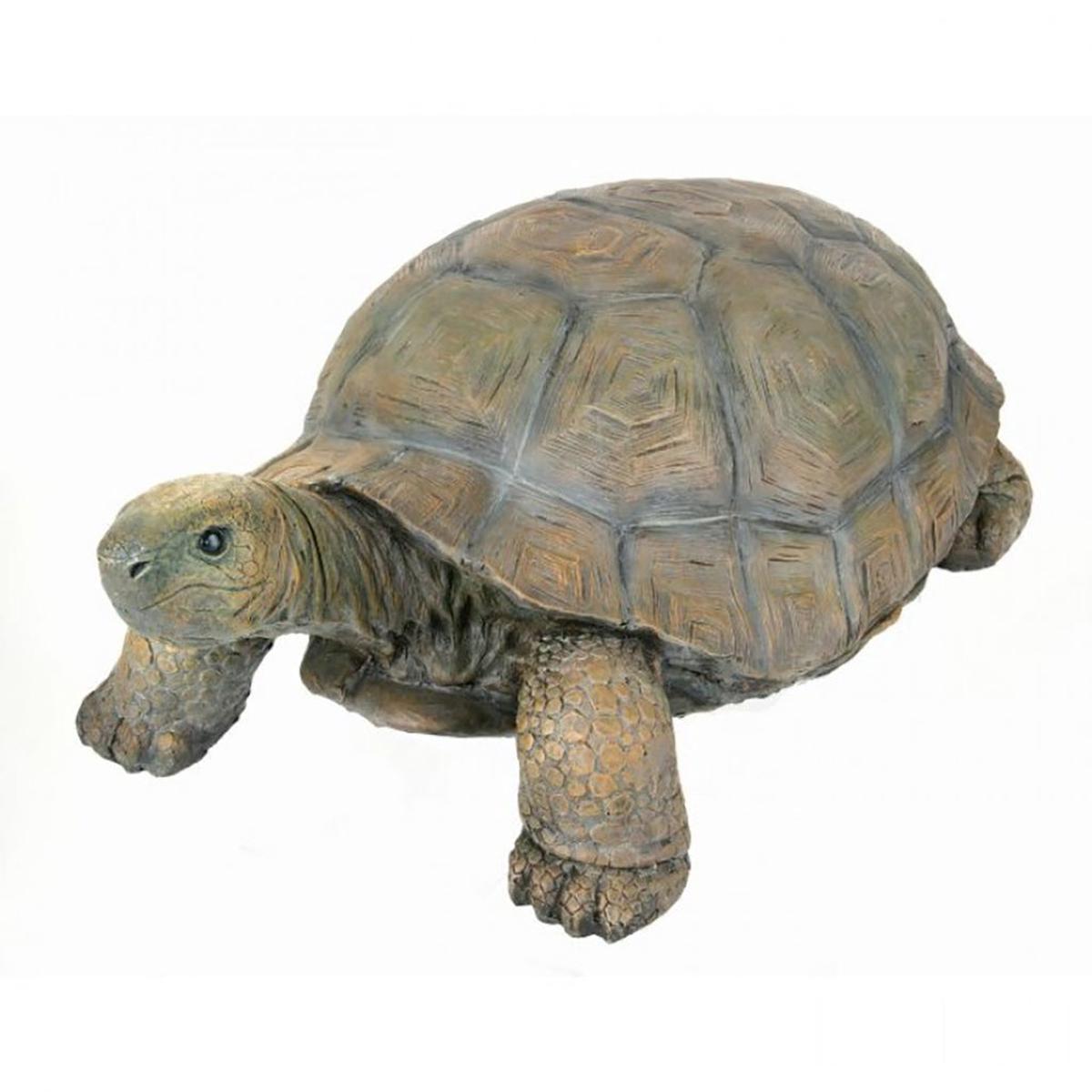 Concrete Tortoise