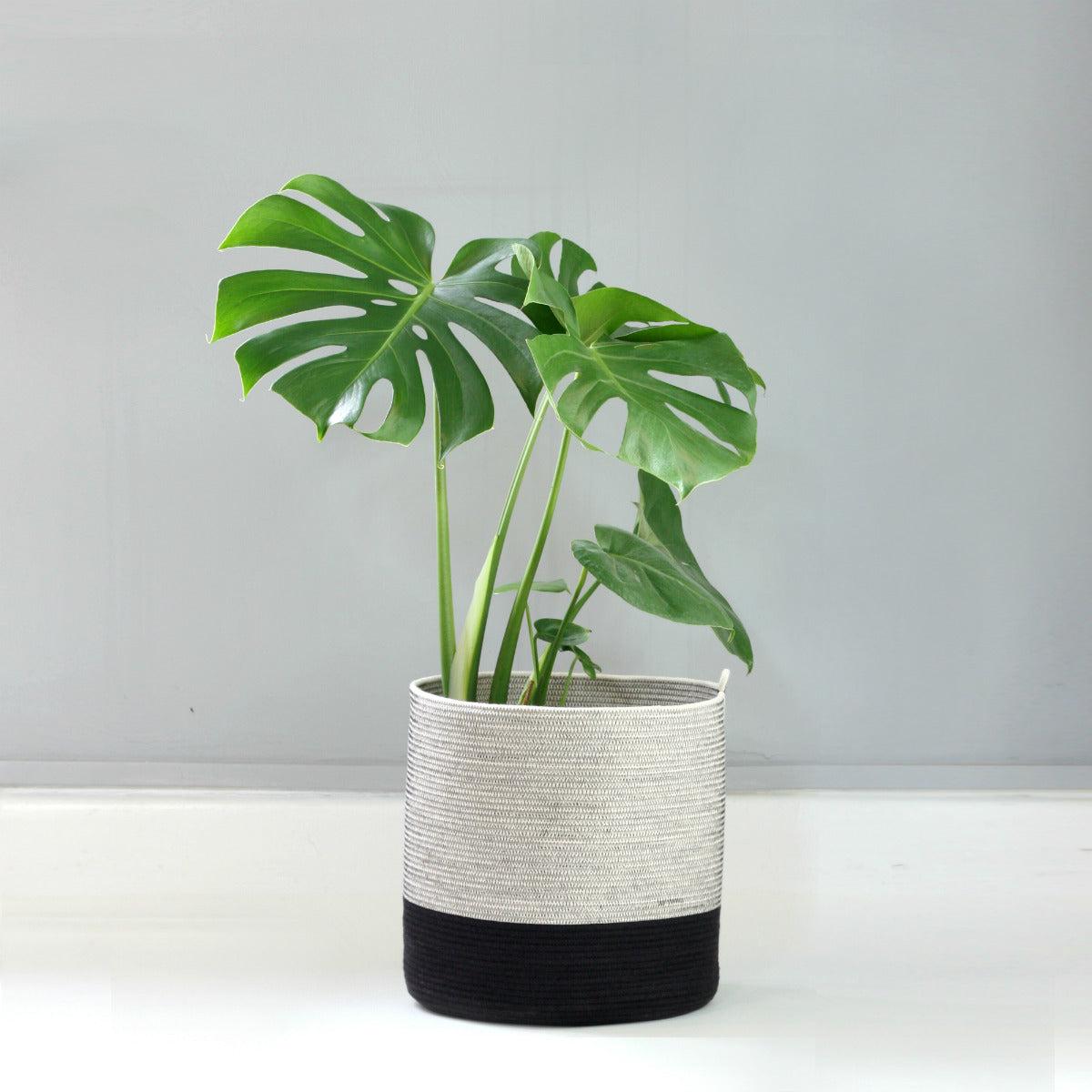 Mia Melange - XL Planter