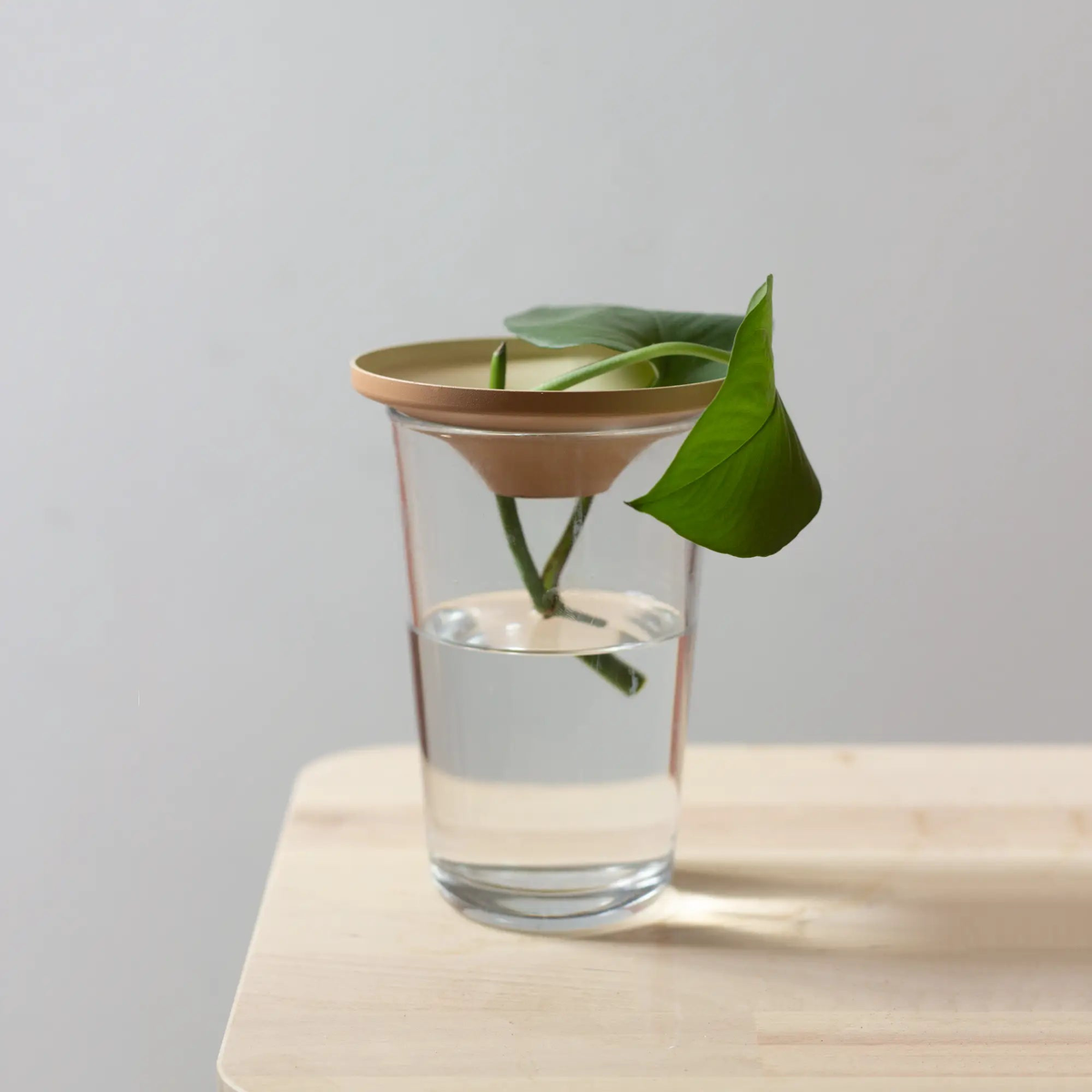 Propagation Cone