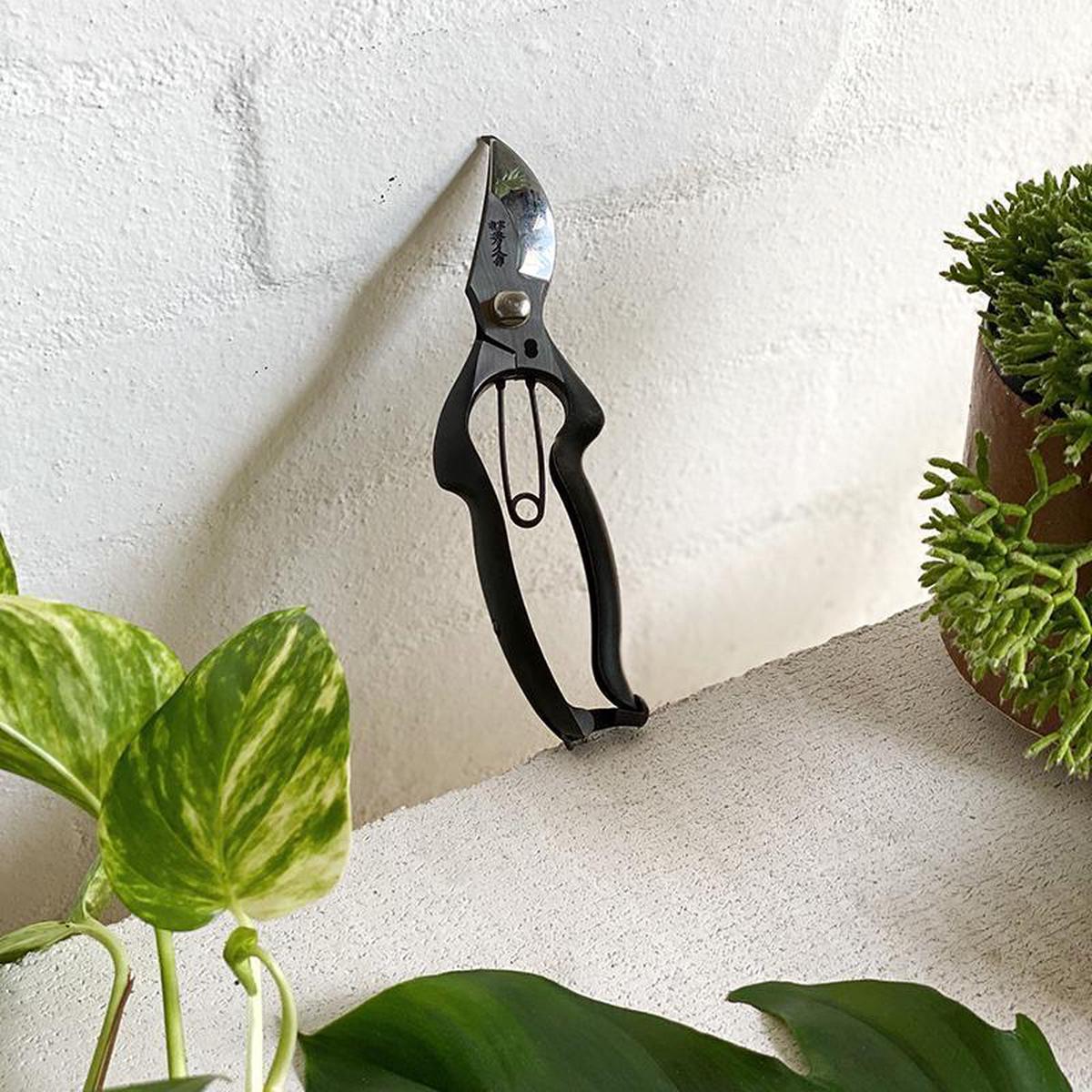The Plant Society x Toyama Hamono Secateurs
