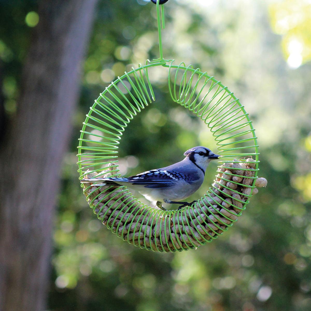 Metal Wreath Peanut Feeder 12.5" - Assorted Colours