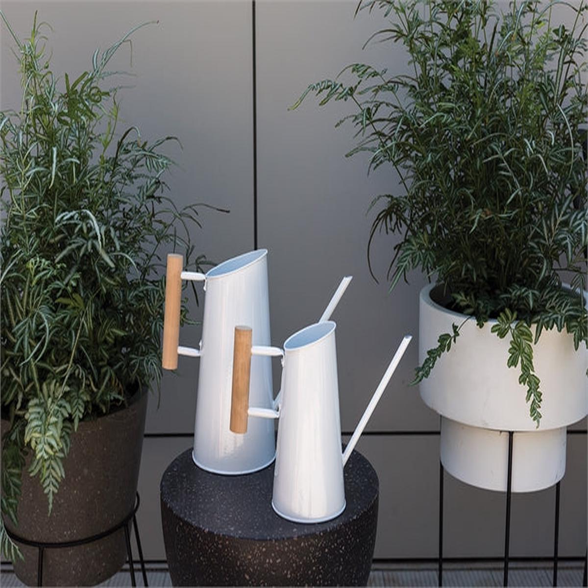 Preston Watering Can
