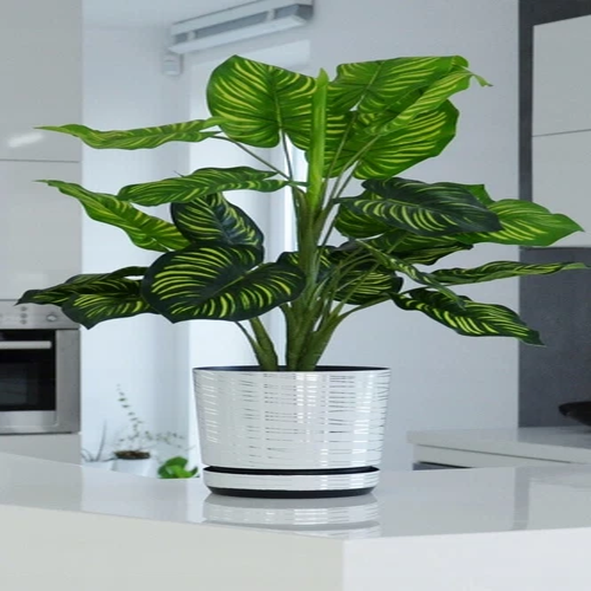 White Plastic Flower Plant Pot with Saucer and Drainage Hole for All Houseplants