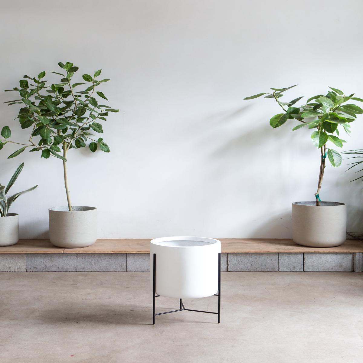 CYLINDRICO - WHITE PLANTER - LARGE 15.7-- FLOOR MODEL FINAL SALE
