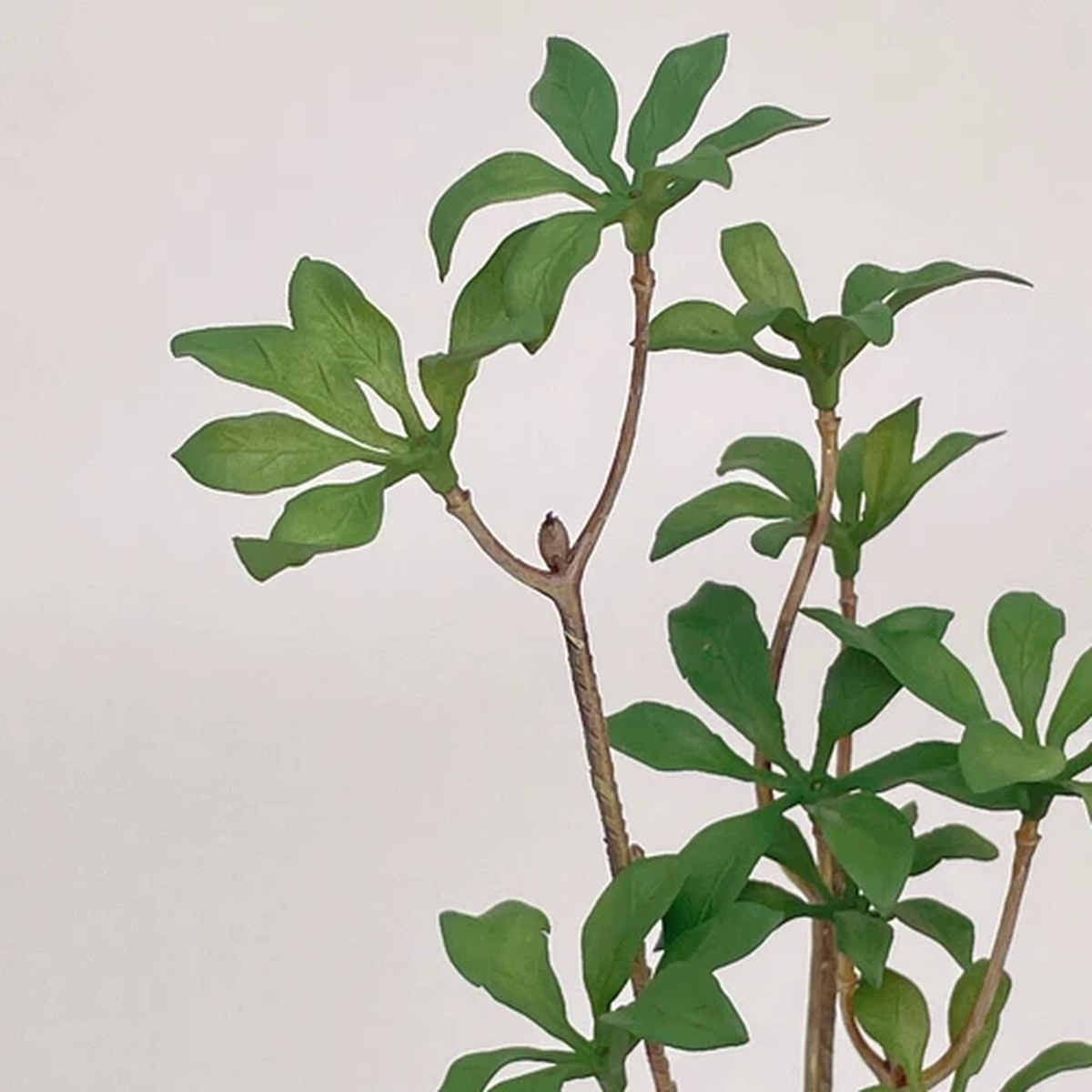 1/6 Scale Dollhouse Miniatures 11.5" Inch Green Potted Plant Tree Mini Garden
