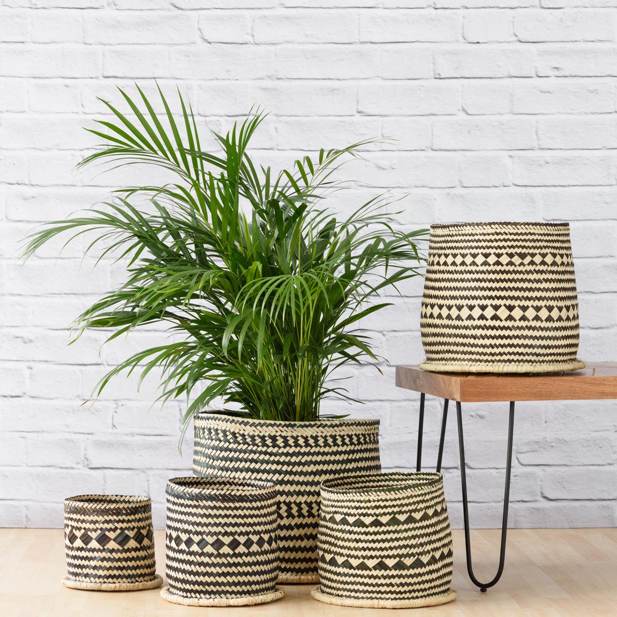 Zuzu Basket
