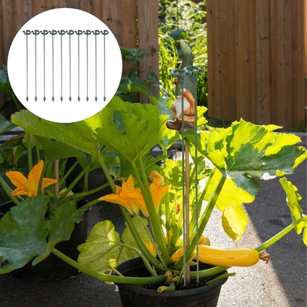 10 Pcs Flower Supports for Outdoor Plants Pot Stakes Stand Gardening Rods